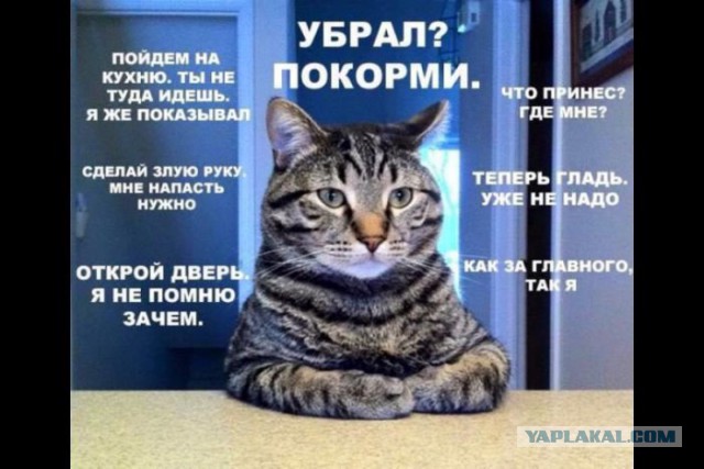 Зверь в доме