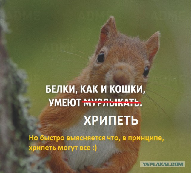 25 интересных фактов.