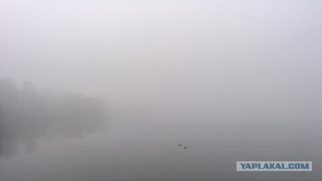 Мобильный телефон vs зеркальный фотоаппарат