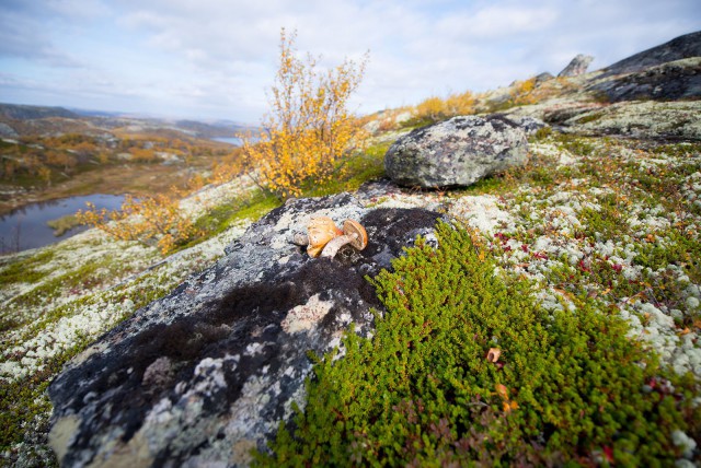 Поездка на Кольский полуостров.