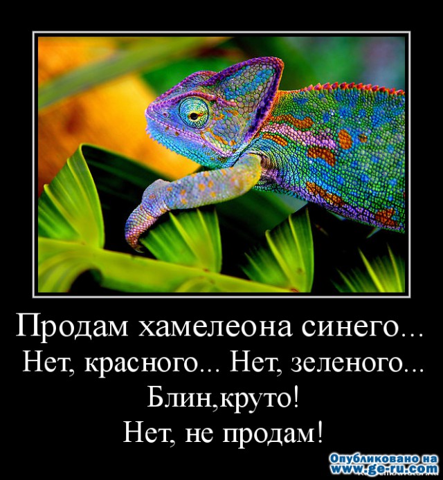 Для наблюдательных