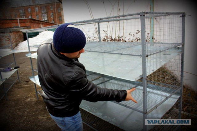 Сельскохозяйственный эксперимент ч. 5