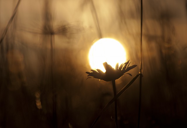 Подборка интересных и веселых картинок