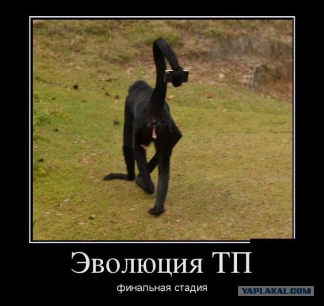 Подборка интересных и веселых картинок