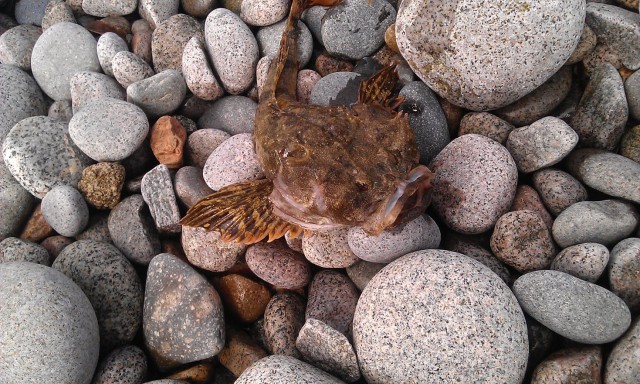 Магадан, старые и новые фотки