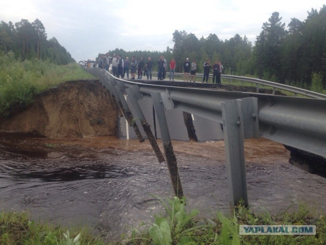 Бабушка с внуком умерли в ЯНАО от сибирской язвы