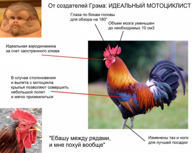 Байкеры летят 120 км/ч по городу...и влепляются в Logan