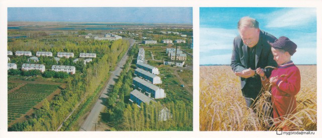 Города СССР: Целиноград (65 фото)