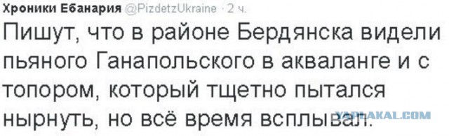 В Росгвардии создают отряд дайверов для охраны Керченского моста