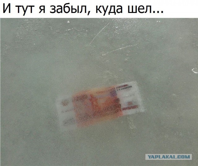 Фотки всякие разные ...
