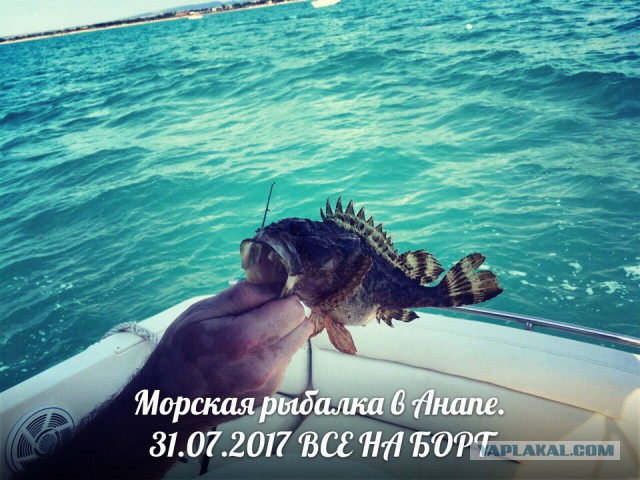 Черноморская рыбалка в июле