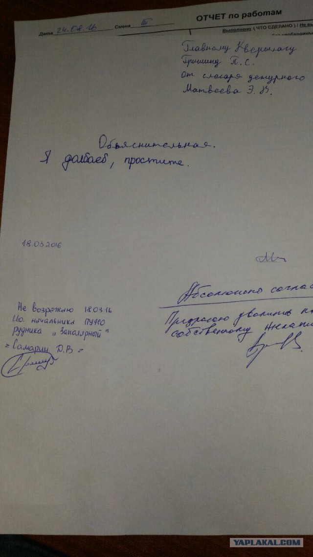 Подборка интересных и веселых картинок