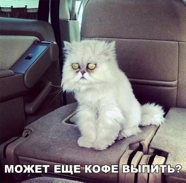 Забавных картинок не хотите ли?