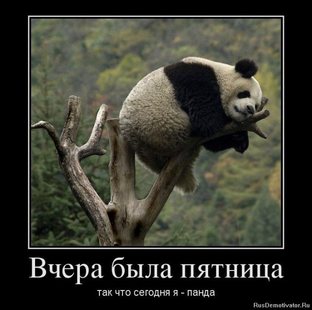 Картинки для настроения в пятницу.