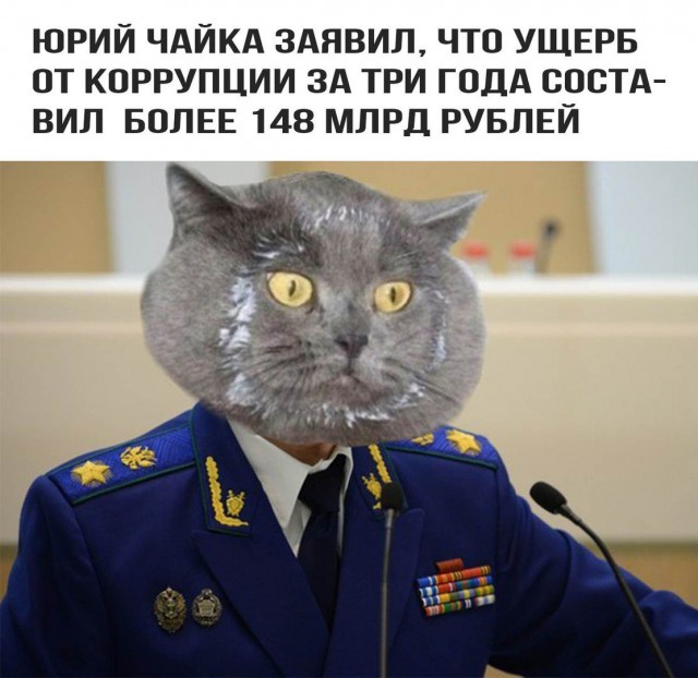 США ввели санкции против ЛСДУ3 - сына генпрокурора Чайки