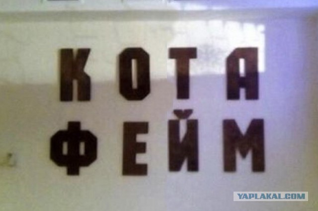 Народные перлы