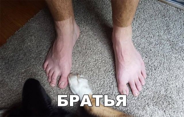 Нестандартный юмор