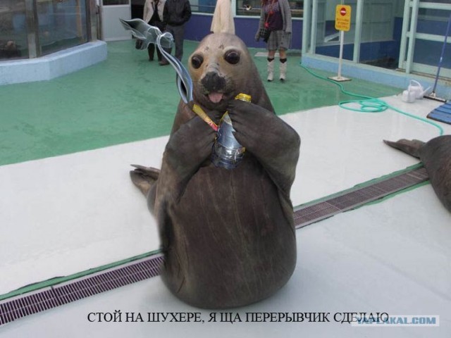 кто накуренный?