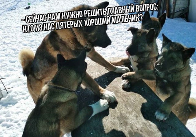 Немного картинок в эту среду
