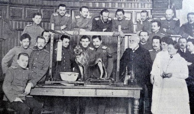 История в фотографиях