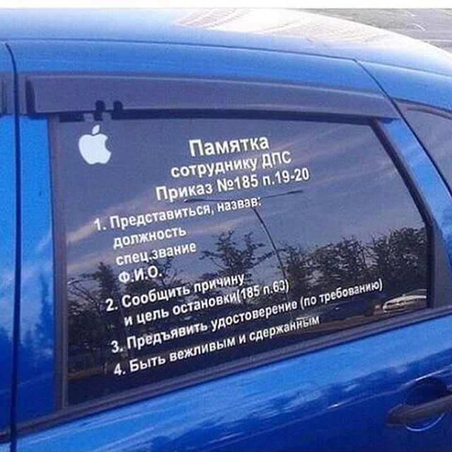 Лента прикольных картинок