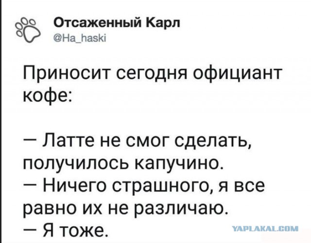 Очередные соцсети