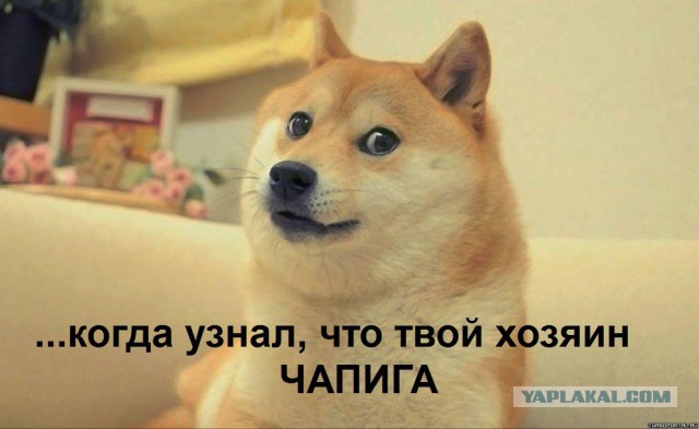 Настоящий Чепига совсем не похож на Боширова