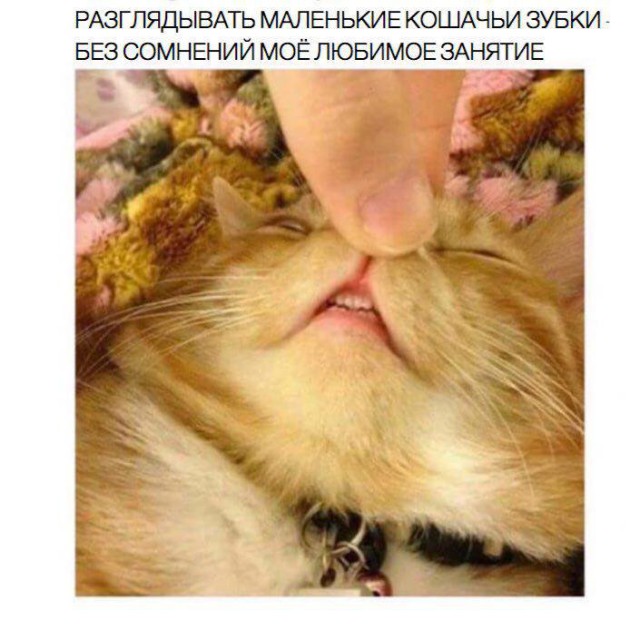 Специфический юмор