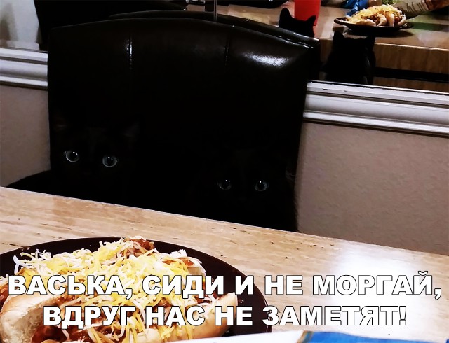 Немного милоты