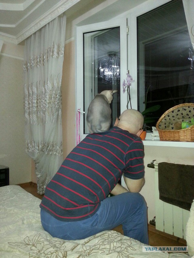 Как я привез домой голую женщину