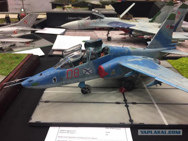 Moson Show 2019 модельная выставка