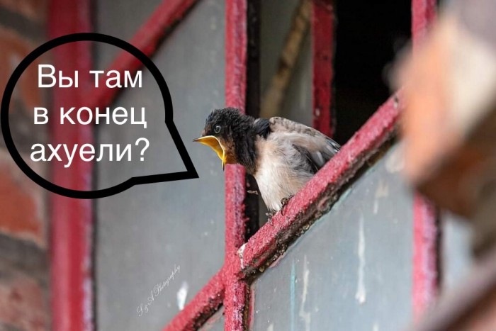 Подборка интересных и веселых картинок 09.07.19