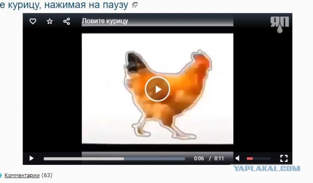 Кому нечем заняться: ловите курицу, нажимая на паузу