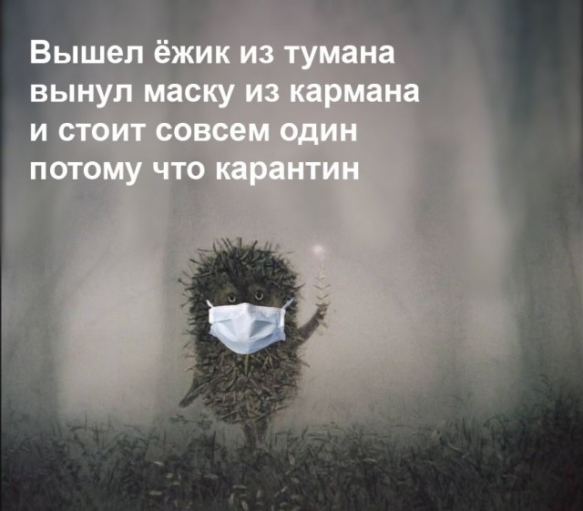 Чуток картинок 14.04.20