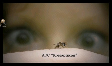 Фотожаба: Вот это, да !