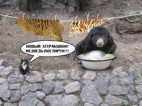 Фотожаба: Шерстяные гопники ))
