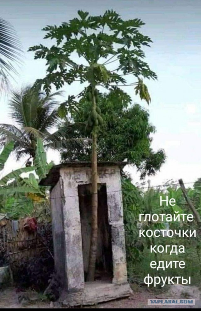 Юмор в картинках 11.12.20