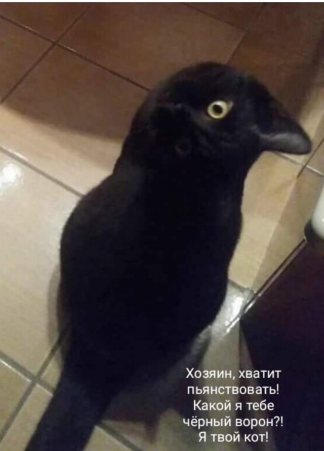 Пандемия. Коронавирус. Россия и мир. Последняя информация. Часть 20