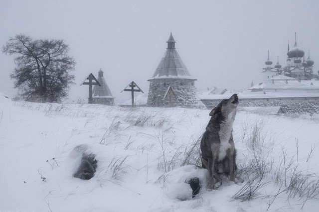 Жизнь городских окраин