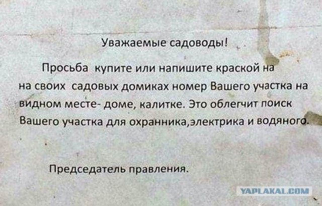 Свинегрет: картинки, надписи и прочее на 20.02.21 или №30