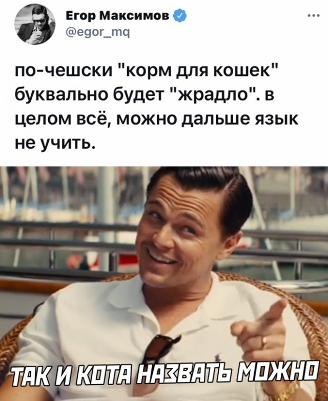 Весёлый полтишок 20.03