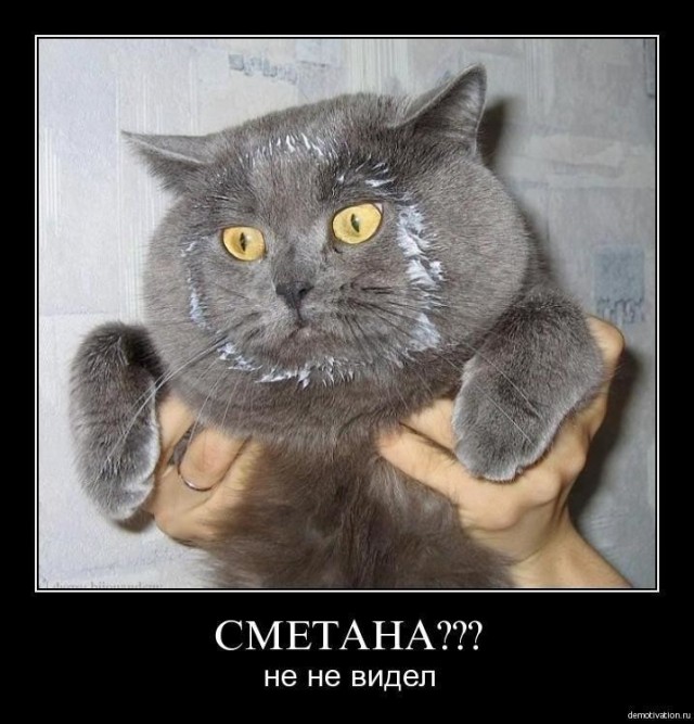 Рогозин заявил о «колоссальной» нехватке денег в «Роскосмосе»