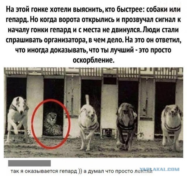 Картинки и мемы для настроения 28.04.2021