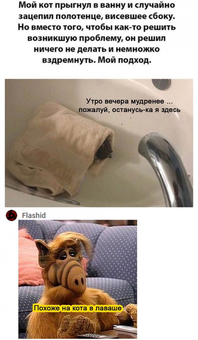 Картинки и мемы для настроения 11.06.2021
