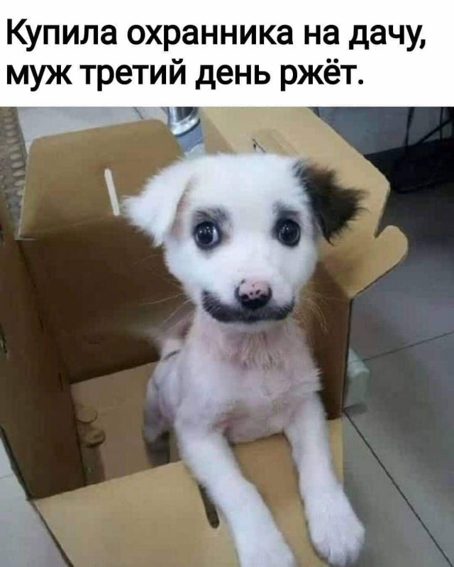 Картинки и мемы для настроения 01.07.2021