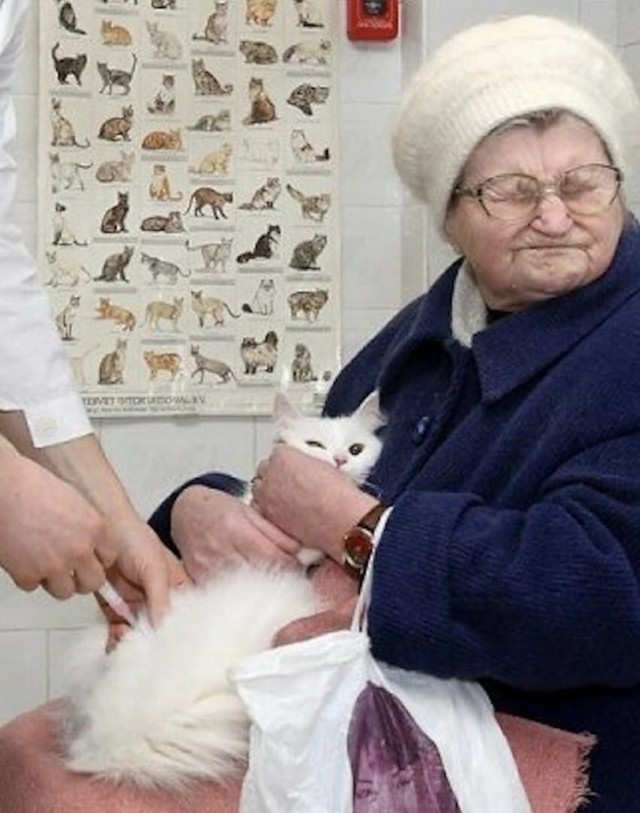 Картинки и мемы для настроения 28.07.2021