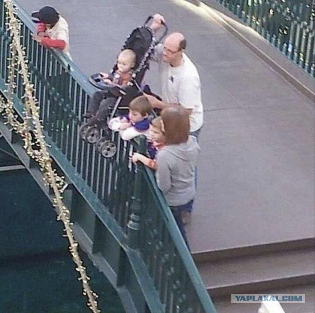 Подборка идиотских фотографий