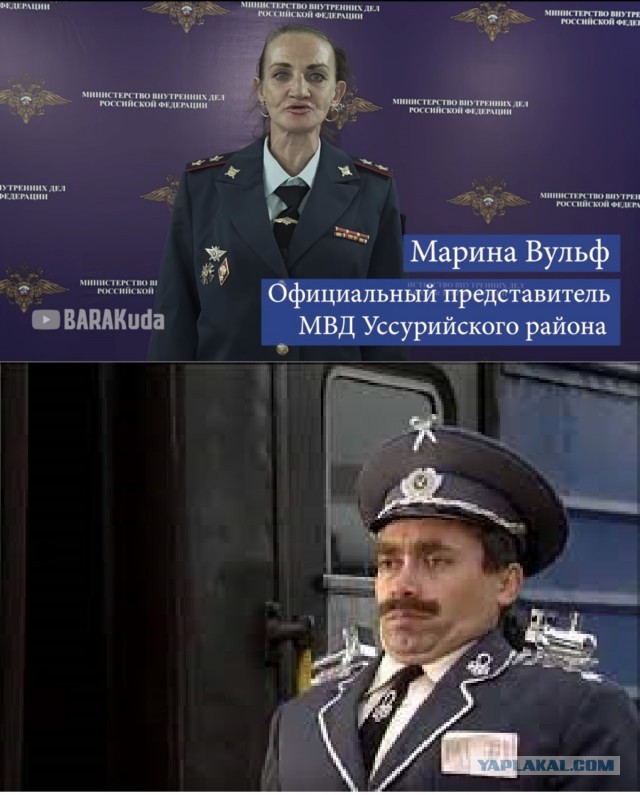 Актрису из Уссурийска, пародировавшую представителя МВД Ирину Волк, арестовали на 10 суток