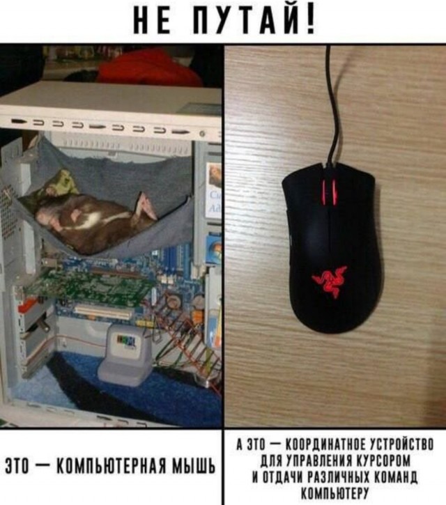 Бредзона 26.09.2021