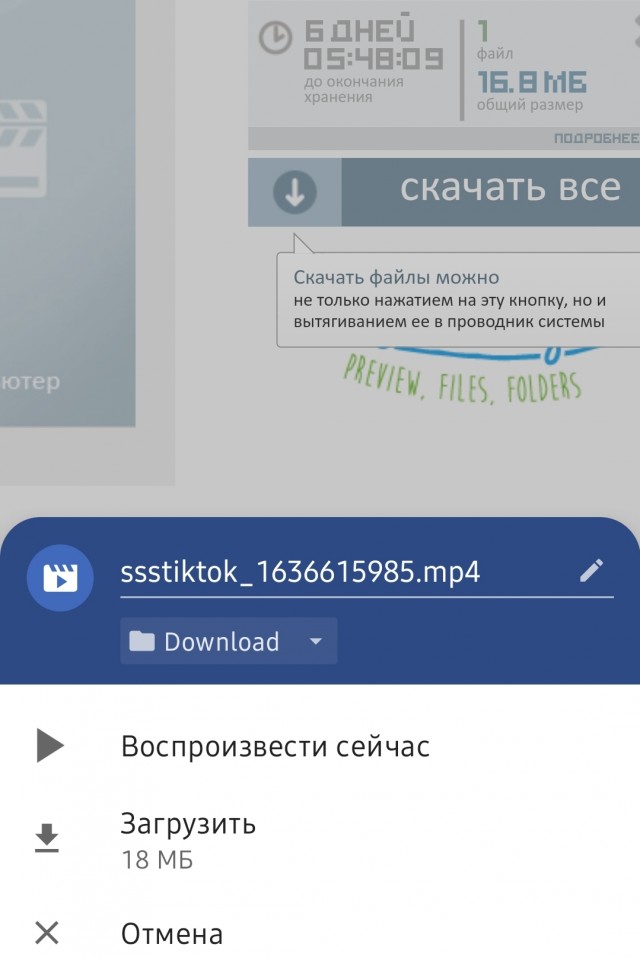 Немедленно идите на посадку!